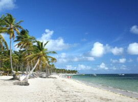 Martin : préparez votre voyage